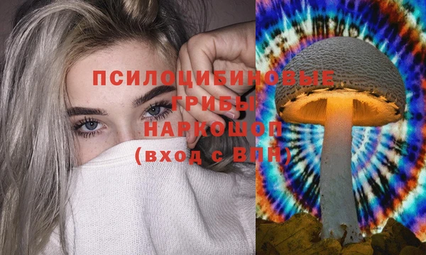 амф Богородск