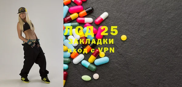 мдпв Богородицк